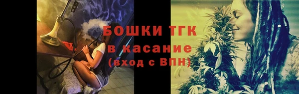 молекула духа Алексеевка