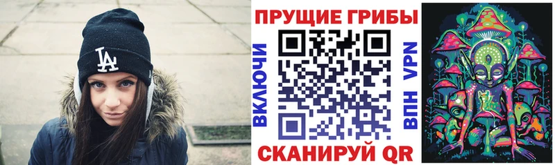 Галлюциногенные грибы Psilocybe  ссылка на мегу ссылки  Алексеевка 